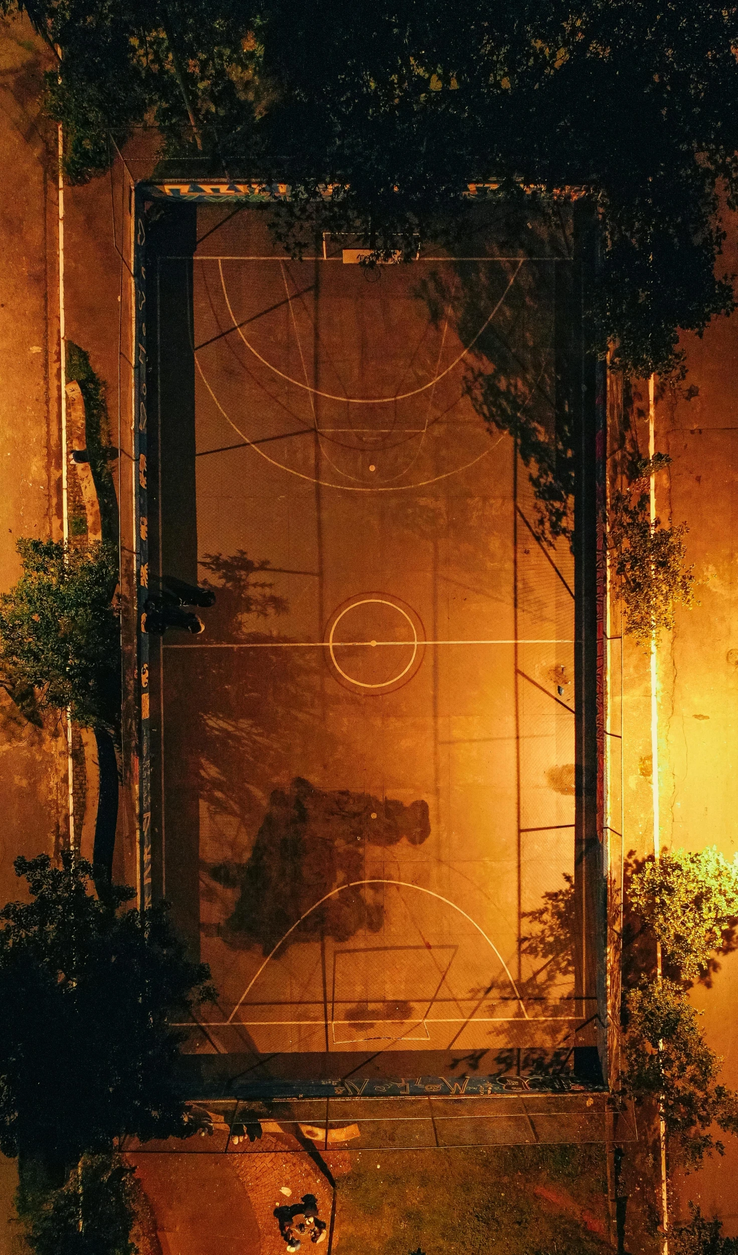 an empty bench and some plants in front of a window