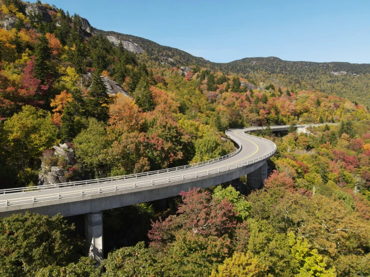 a road running along a hillside in autumn