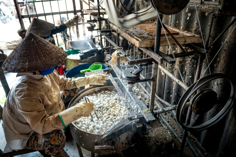 a woman working in a factory with a bin full of mushrooms