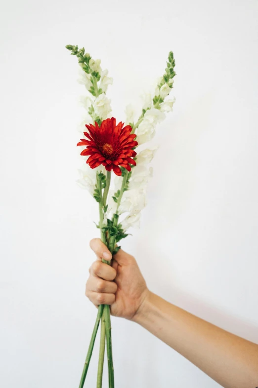 person's hand holding a bouquet of flowers against a white wall