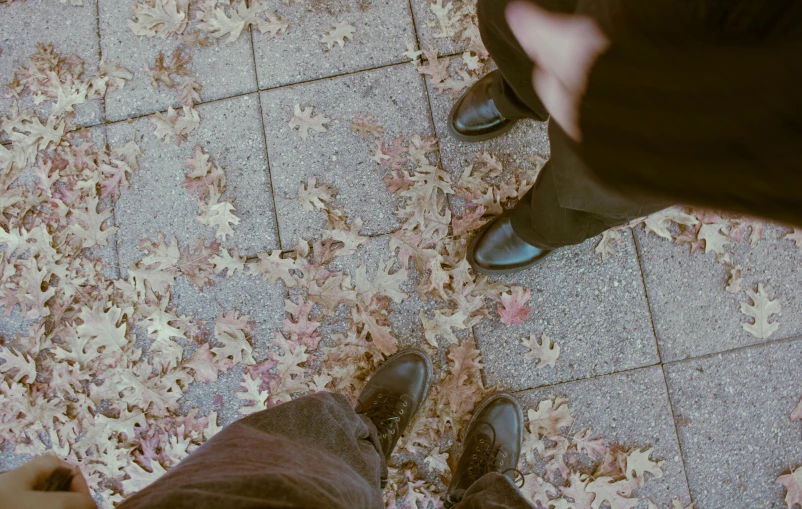 the bottom half of two people's legs with shoes on on pavement with leaves