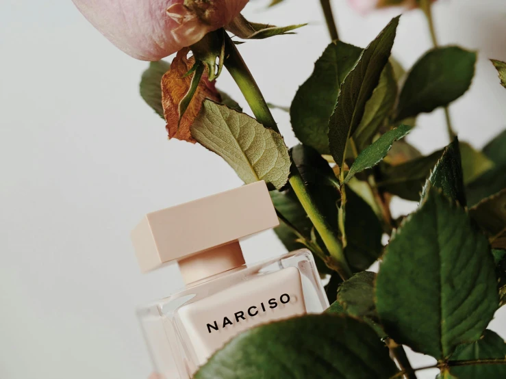 pink roses are next to a bottle of narciso