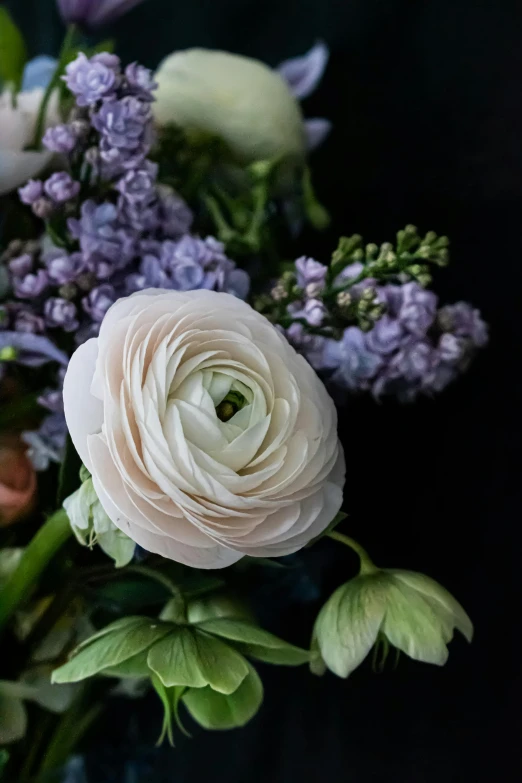 a group of flowers with white and purple flowers in the background