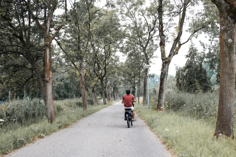 a man riding a bike on a path in a park