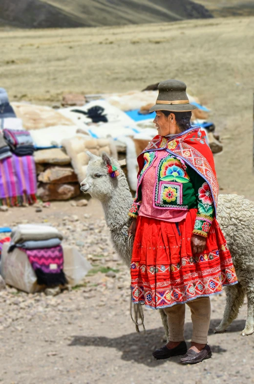 an old man standing in front of a llama