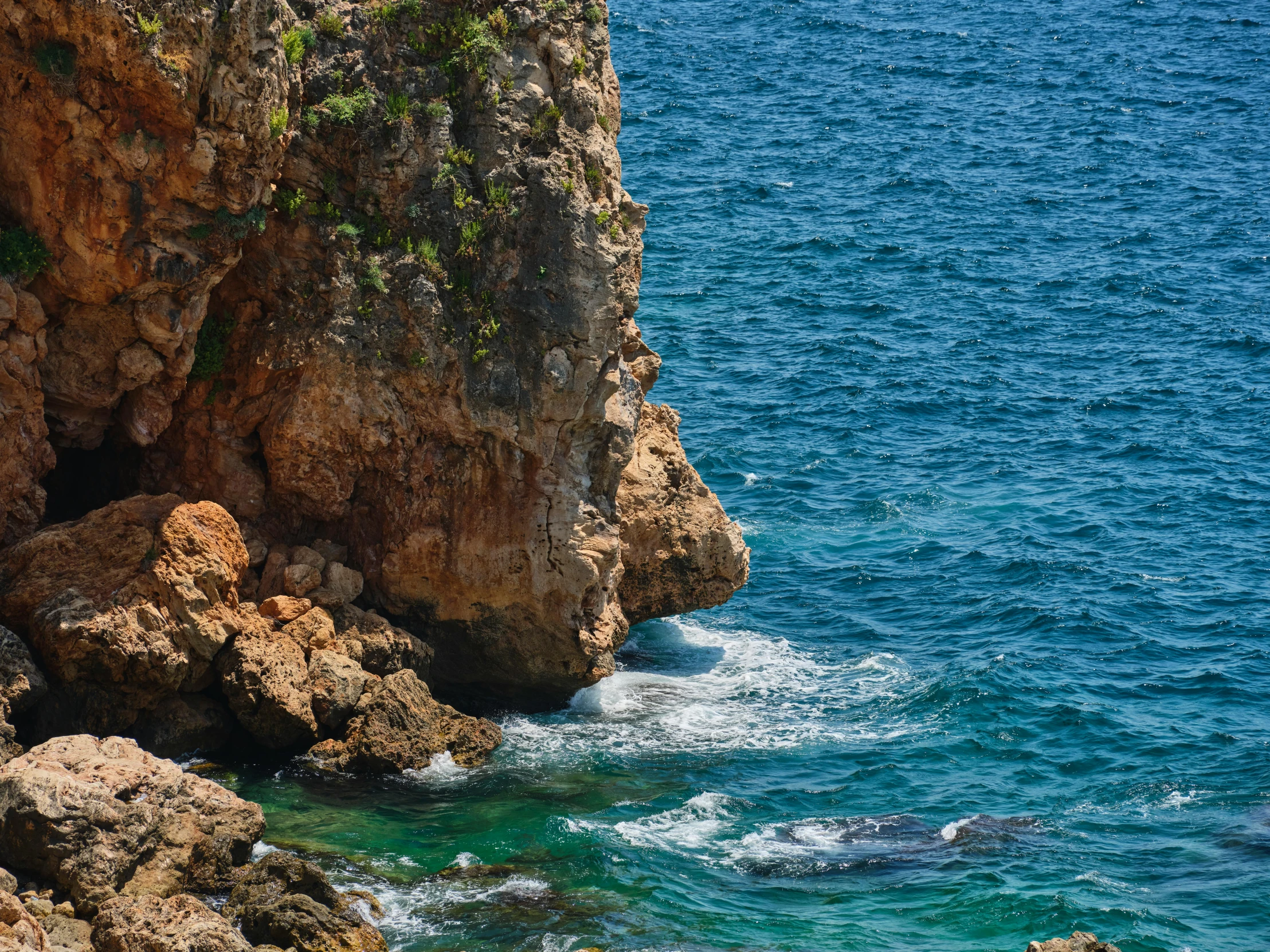 an animal standing on top of a large rock by the ocean