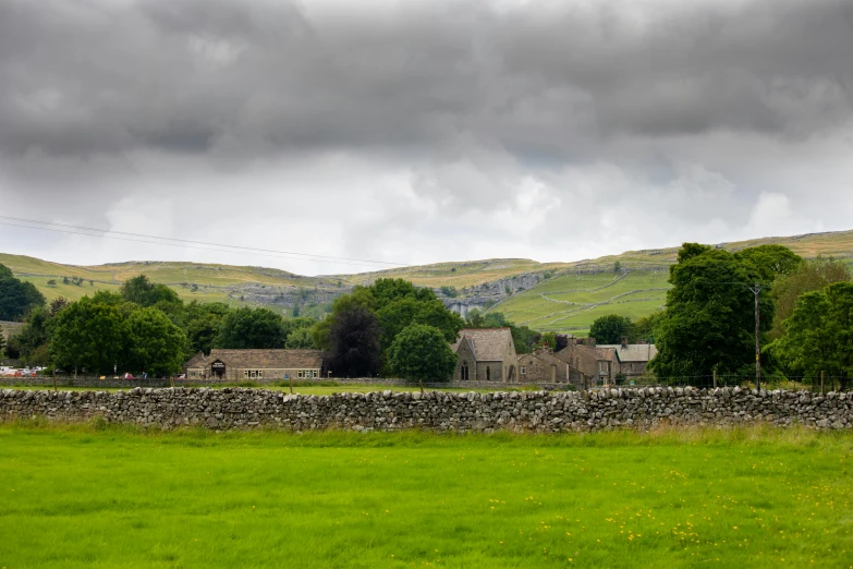 a pasture, stone wall and trees under an overcast sky