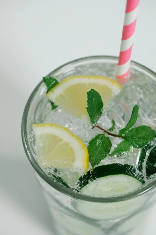 a glass with ice, lemons and mint on the rim