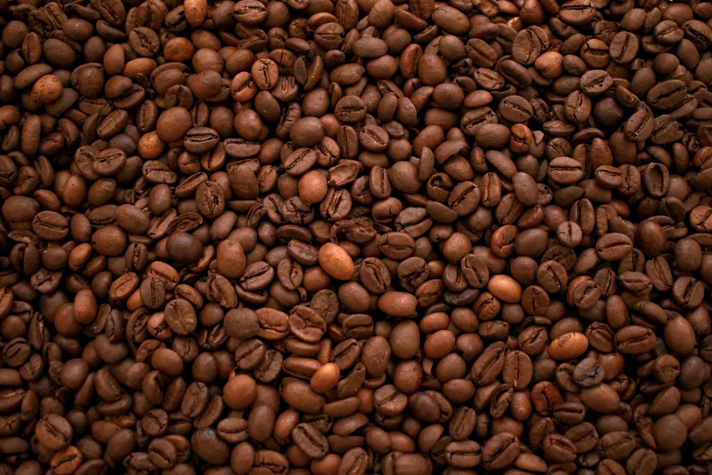 large pile of coffee beans arranged close together