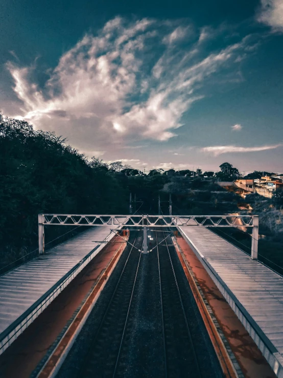 a train track on the ground surrounded by trees