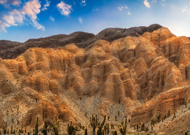 a desert landscape with cactus trees and the sun peeking over the mountains