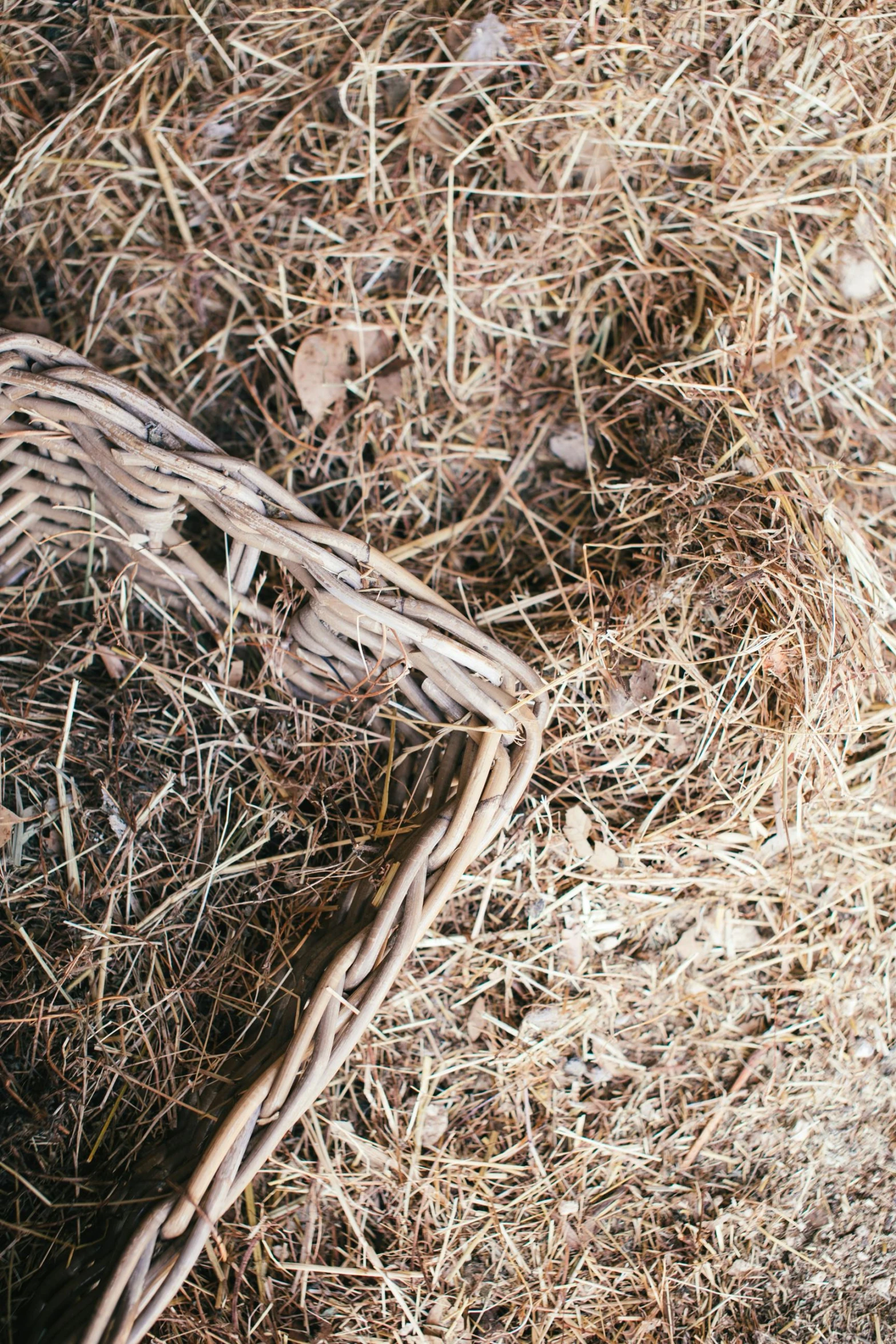 a basket on the ground filled with dry hay