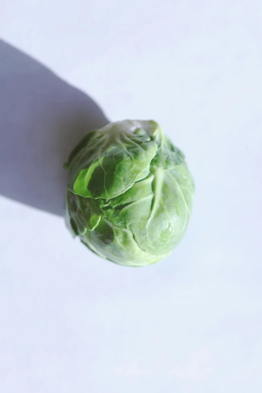 a head of lettuce is shown on the white surface