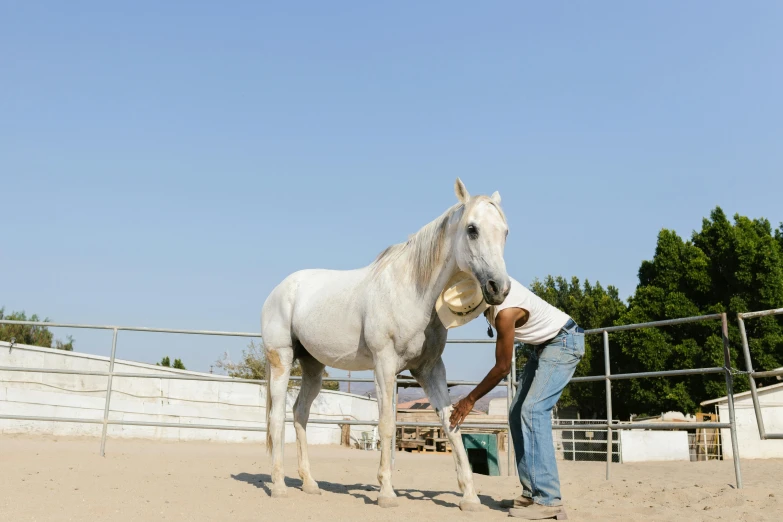 there is a person with a horse behind them