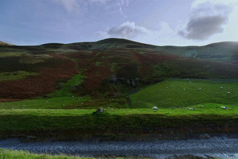 a hill in the middle of a grassy area and water running through it