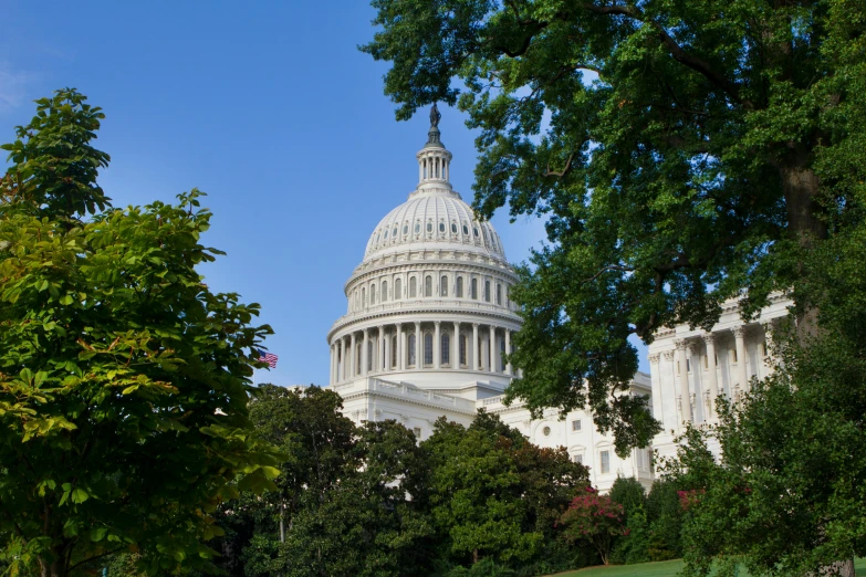 the dome of the u s capitol building, viewed through trees