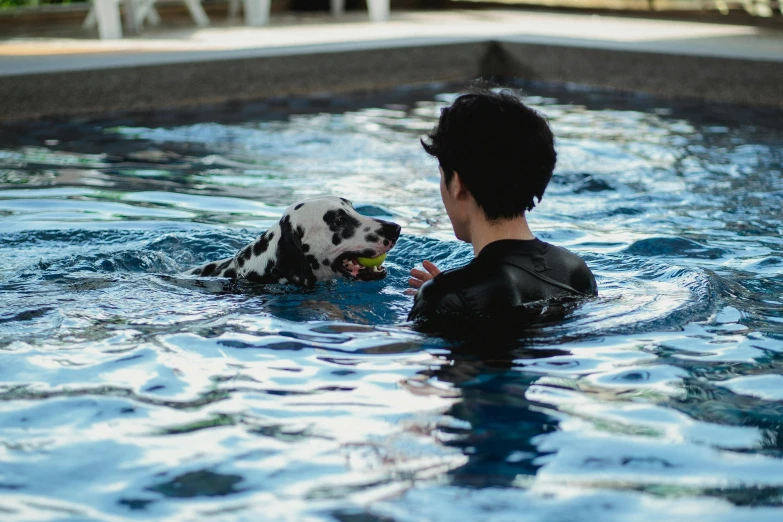 a person playing in the water with a dog