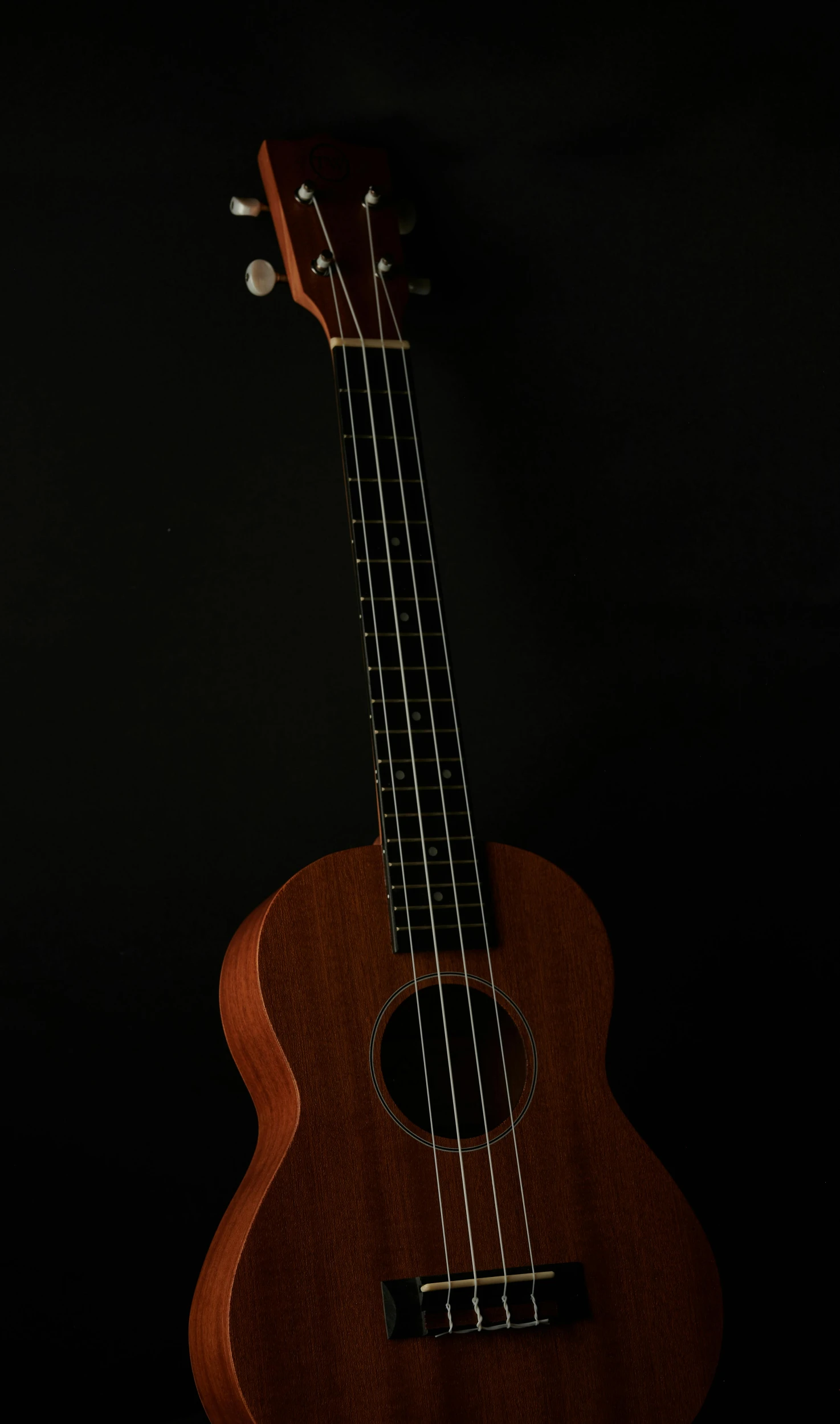 a ukulele sitting upright against a black background