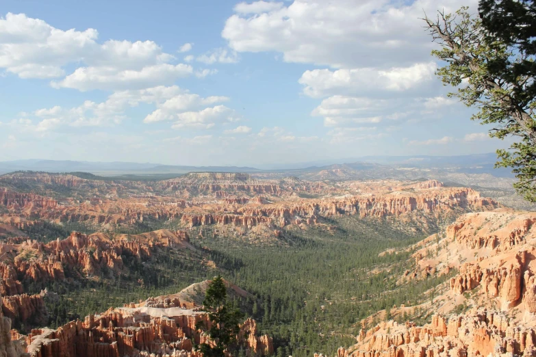 a valley with trees on both sides is surrounded by rock formations