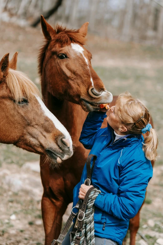 a woman petting two horses on the nose