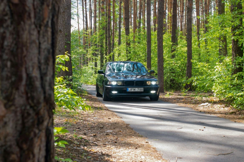 a car is driving through the forest with two surfboards on top