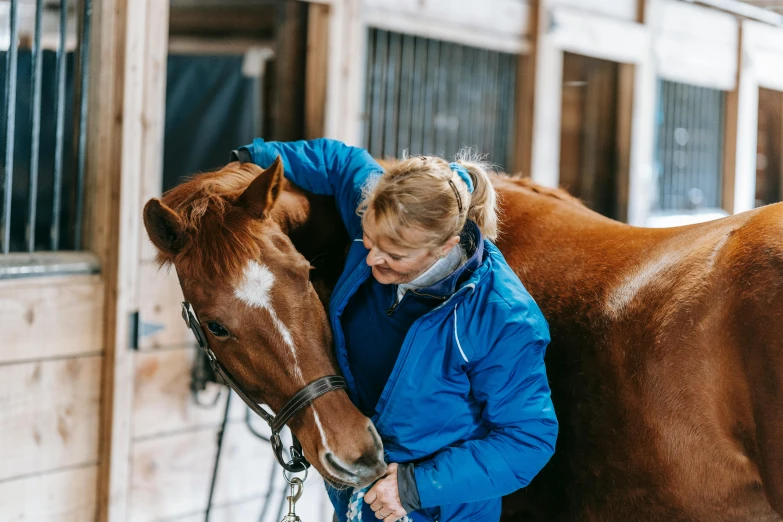 a girl stands near a horse wearing a blue jacket