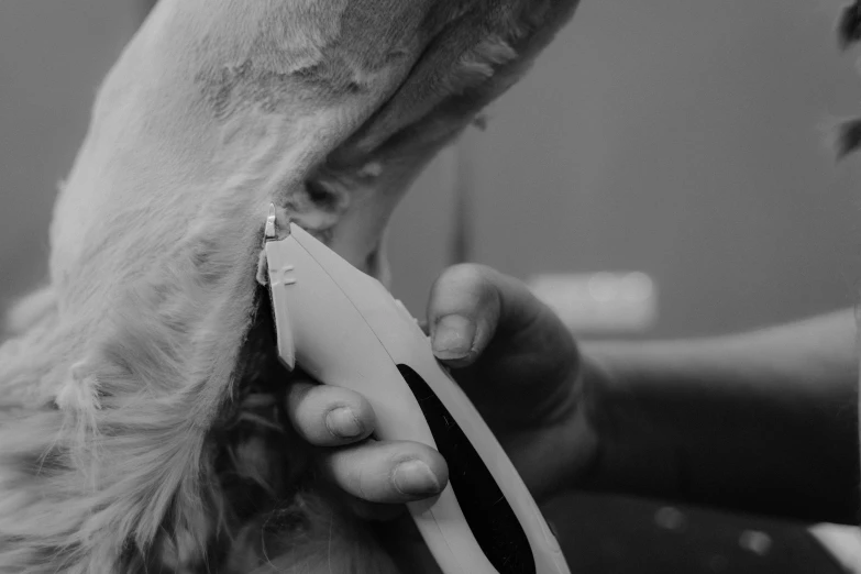 a man  his hair with scissors in front of him