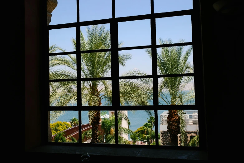 a window shows the view of a tropical beach