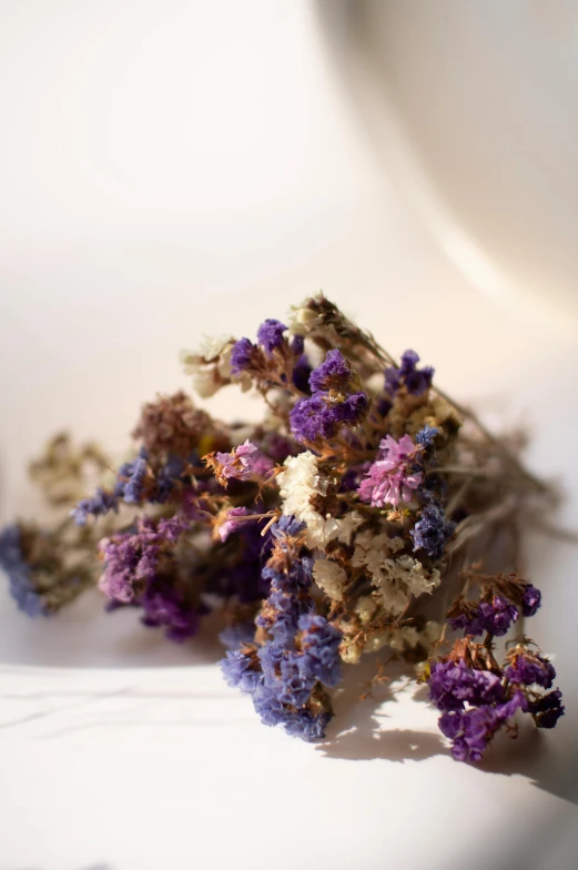 purple and white flowers on a plate with light