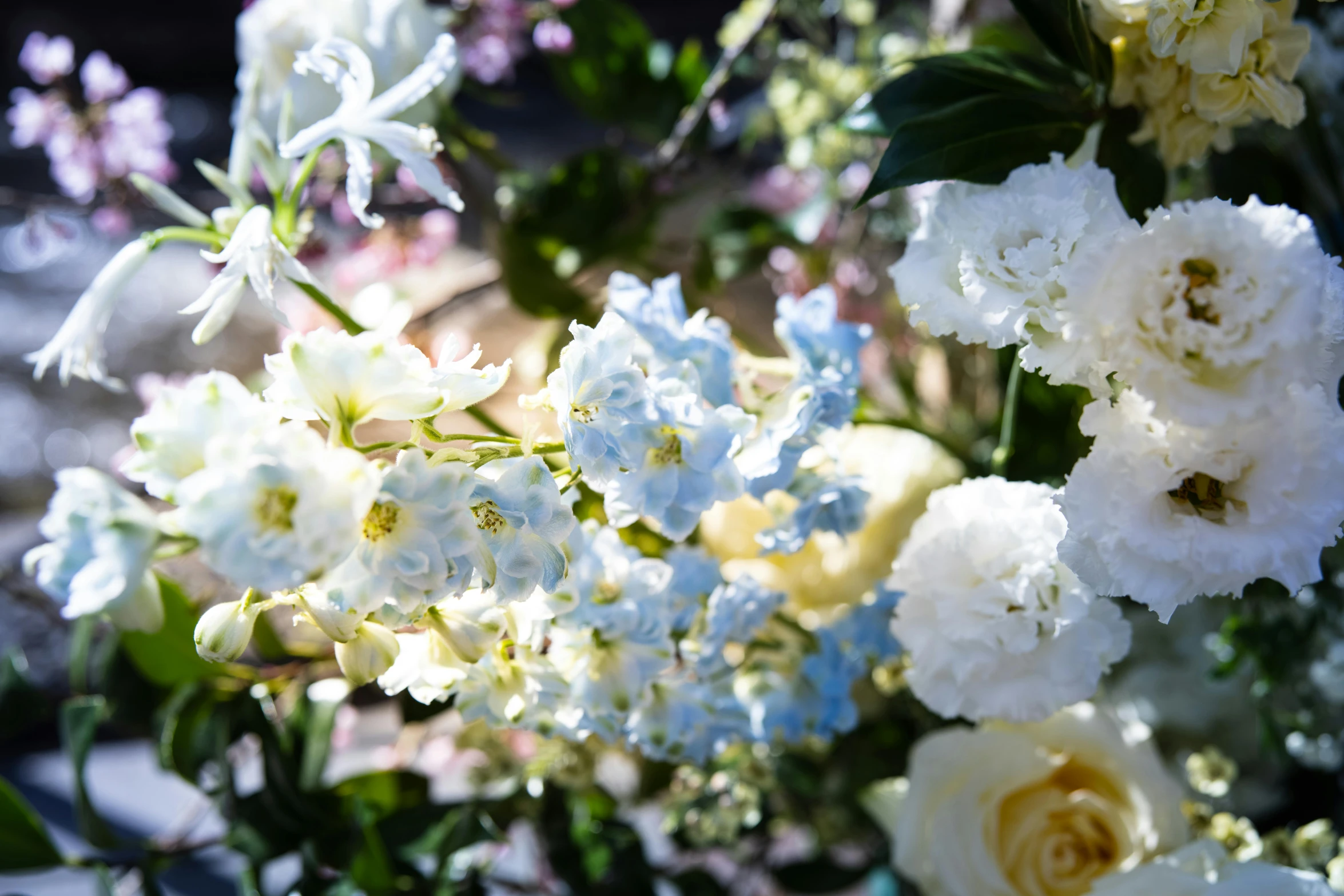 a large assortment of flowers outside in the sunshine