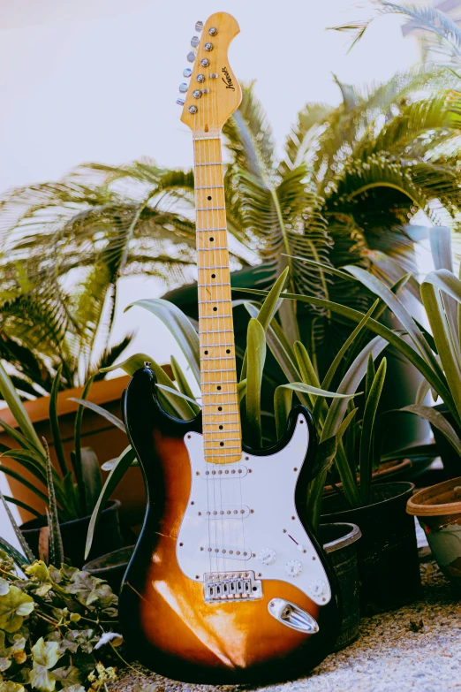 a white guitar is lying in the ground by some plants