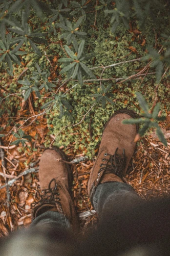 a pair of shoes stands in front of leaves and a shrub