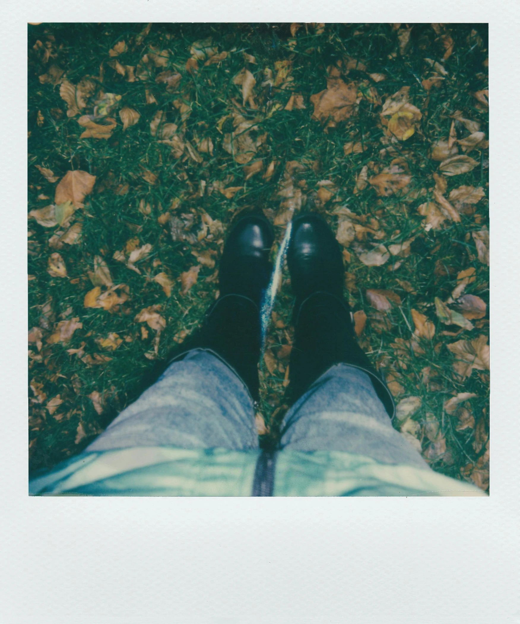 the person is standing in leaves on the ground