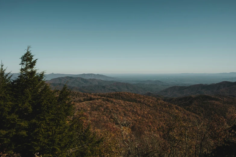 a mountain range covered with some trees