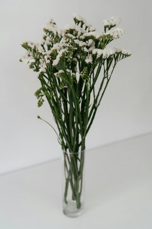 a glass vase filled with white flowers on top of a table