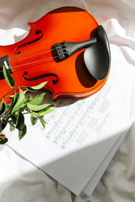 a violin sitting on top of paper next to a flower