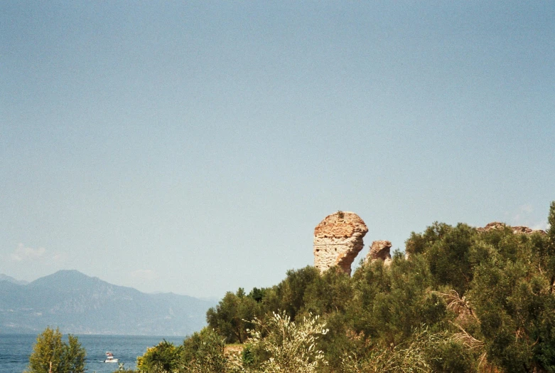 a rock that is sitting on top of some trees