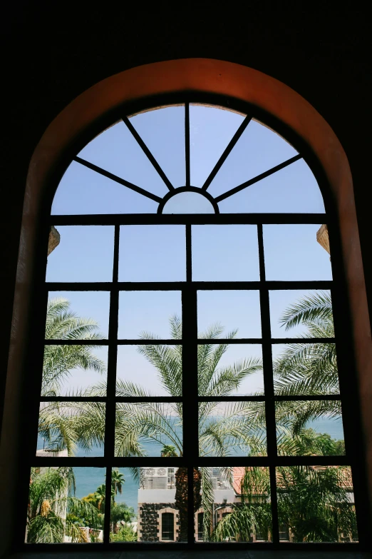 an arch with a view of palm trees and the ocean