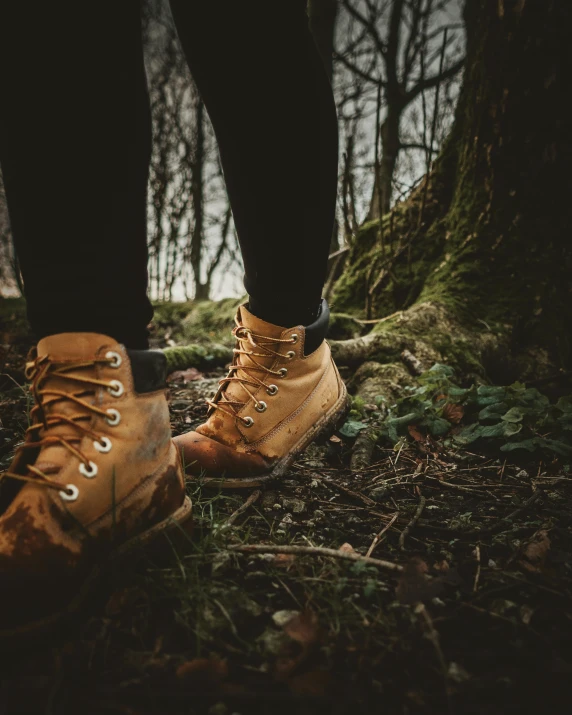 an old pair of brown hiking boots sits near a moss covered tree