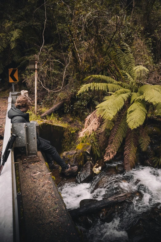 a person sitting on a bridge watching a stream