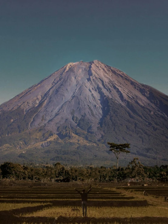 a large mountain with tall trees below it