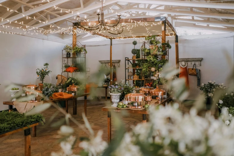 plants sit in vases and in metal containers