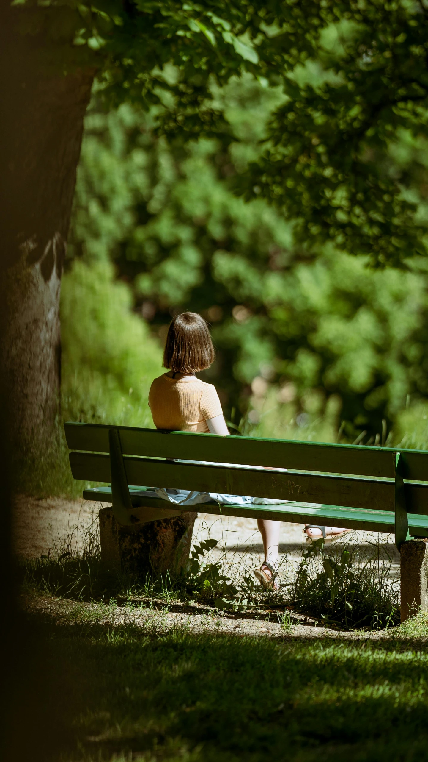 a woman sitting on a park bench near a tree