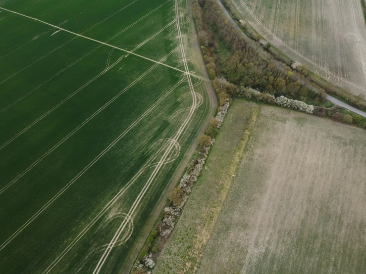 the view from the air of a field with lots of trees