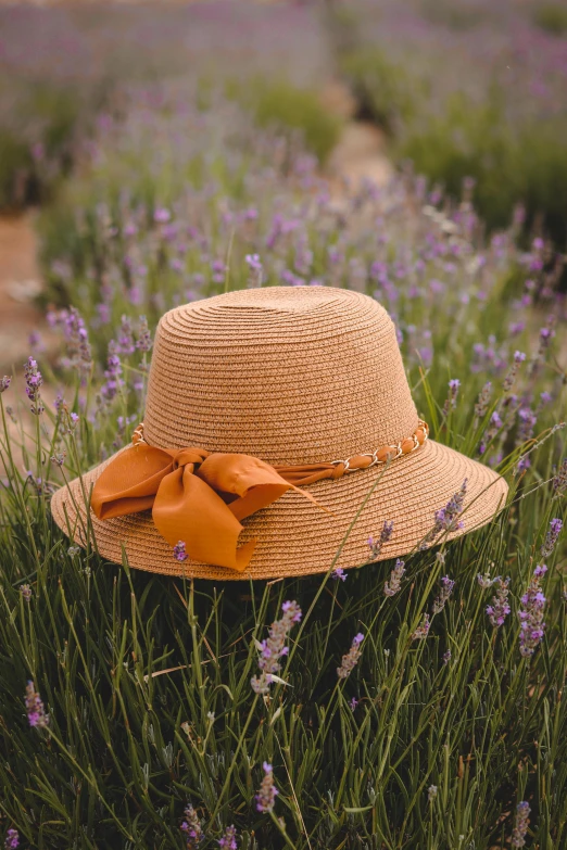 a straw hat with an orange bow sitting in some purple flowers