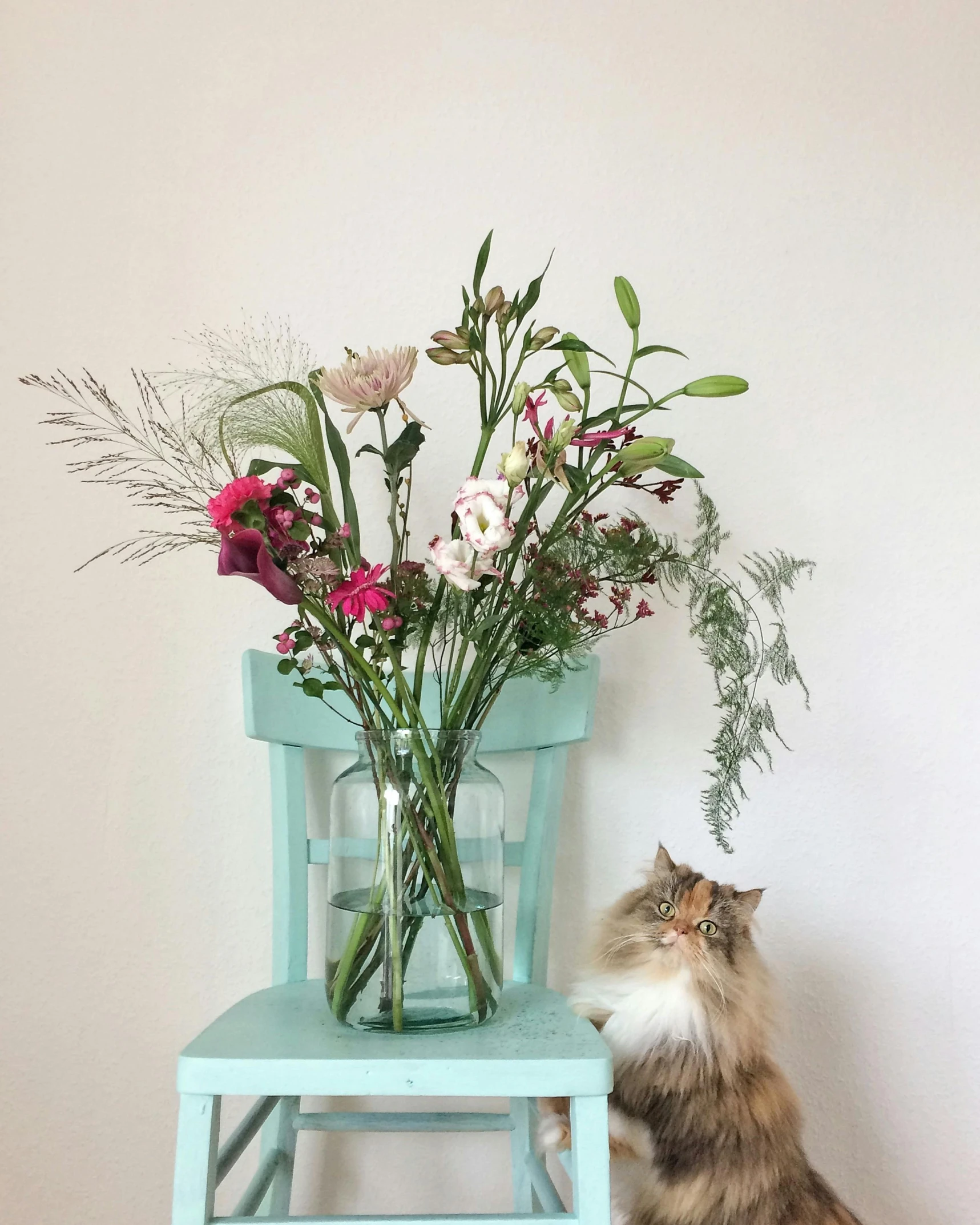 a cat sitting next to a blue chair with a flower arrangement on top of it