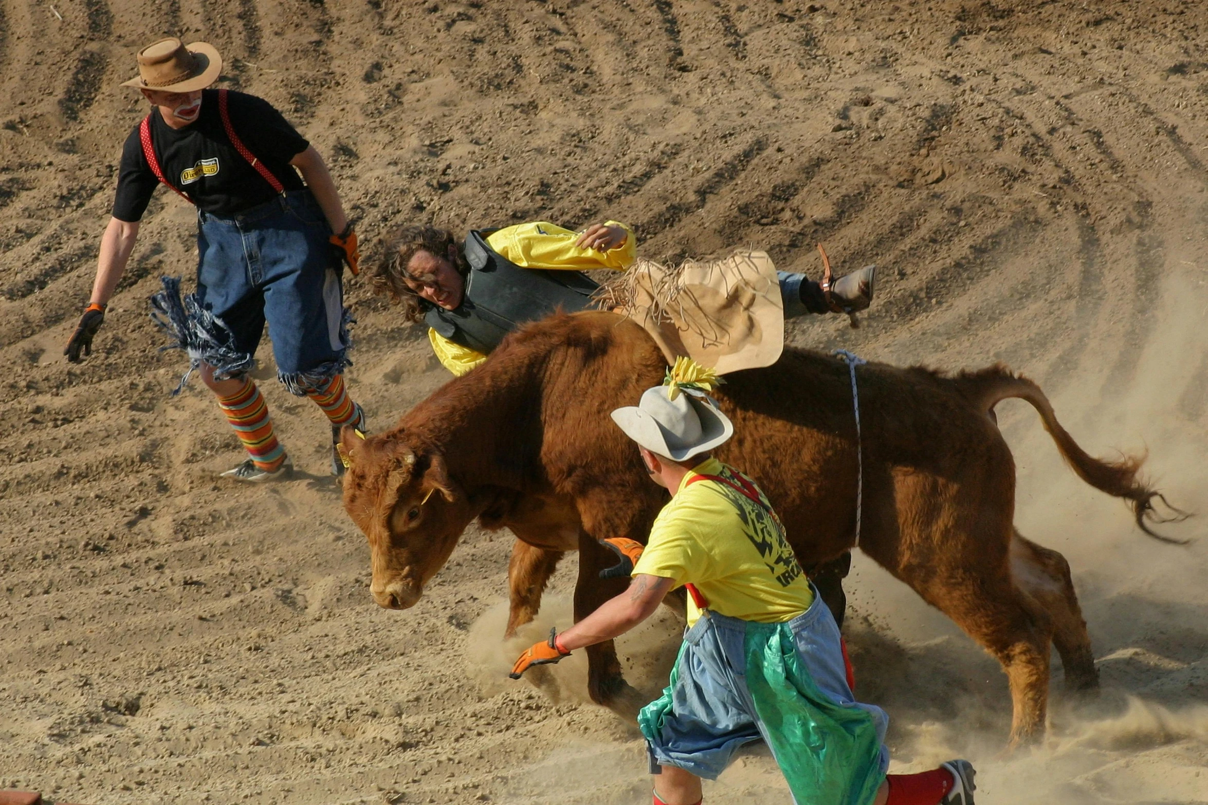 a man is being led away by a baby steer