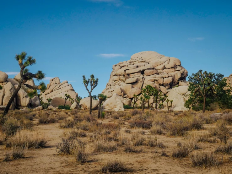 a rocky outcropping with a few palm trees in the background