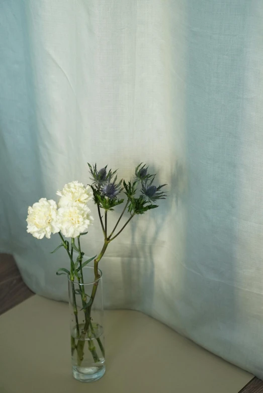 a vase holding some very pretty white flowers