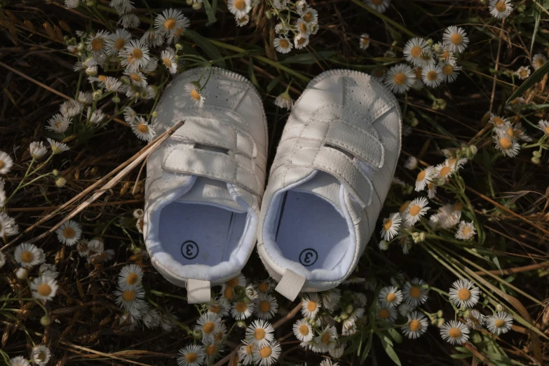 a pair of shoes resting on a bed of flowers